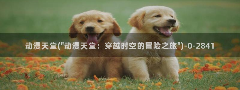 哔哩哔哩动漫