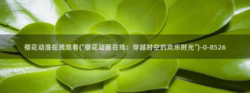 城市猎人动漫