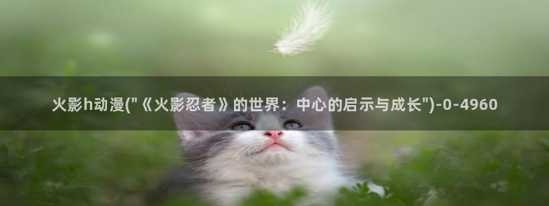 精灵之森动漫