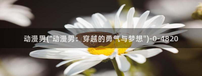 夫妻成长日记动漫
