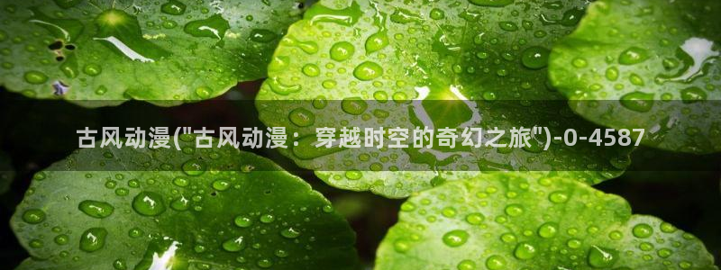 日本动漫排行榜