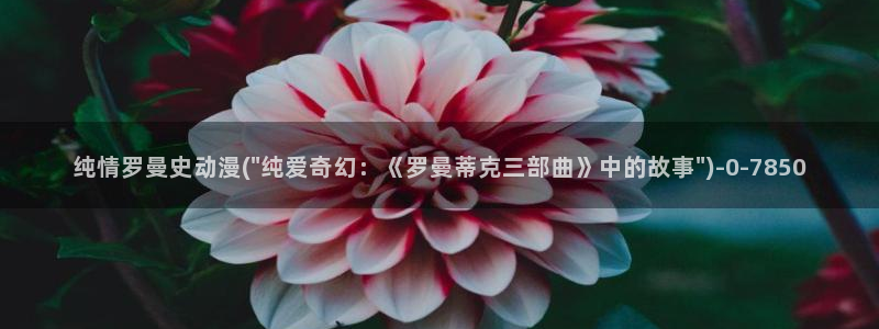 成人动漫电影