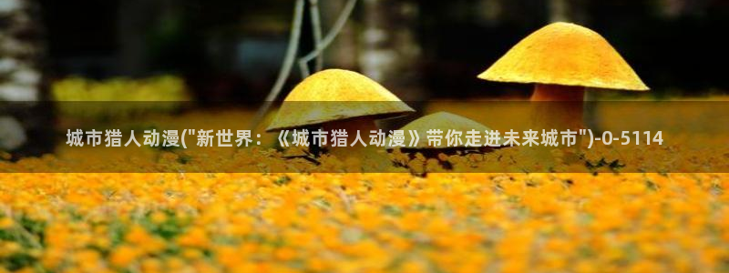 爱动漫网